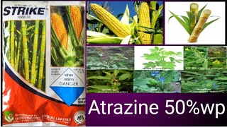 atrazine 50 wp herbicide atrazine 24d [upl. by Sul82]