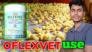 Chickens on Antibiotics The Oflexvet Controversy [upl. by Anassor339]