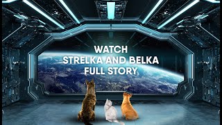 Strelka and Belka the two dogs who changed the face of space history [upl. by Ylremik]