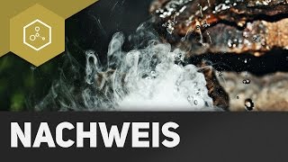 Nachweisreaktion CO2 und Wasser [upl. by Renmus586]