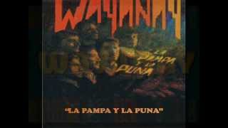 WAYANAY La pampa y la puna SHILICA [upl. by Lainey]