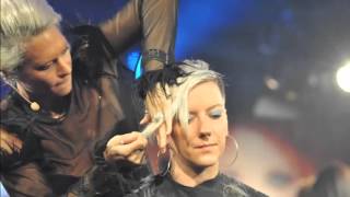 Friseurweltmeister Sonja Fischer  Messe Haare 2012 [upl. by Anavoj857]