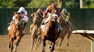 2008 Haskell Invitational Stakes  Big Brown [upl. by Drarehs]