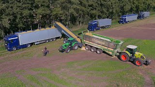 Mais 2023  2x Fendt 1050  Krone BIG X 1180  Xerion 4200  9 Trucks  CH Bakumer Agrarservice 4K [upl. by Kafka]