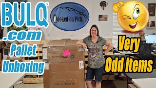 Bulqcom Pallet Unboxing  This is the Weirdest Pallet Ever  Some Strange Stuff Online Reselling [upl. by Norre]