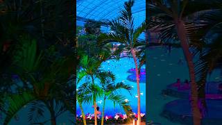 Therme Bucharest luxurylifestyle wellness thermebucharest bucuresti romania [upl. by Eilatan]