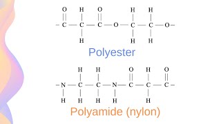 Condensation Polymers Crash Course Polyesters and Polyamides  HSC Chemistry [upl. by Lerej]