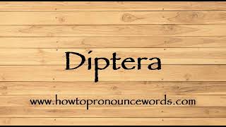 How To Pronounce Diptera  How To say Diptera New Video [upl. by Medea]