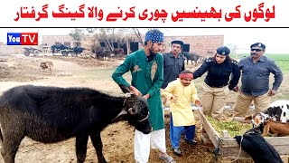 Wada Number Daar Noori Sho Noor Nazer Bhans Chor Kirli New Funny Punjabi Comedy Video 2024You Tv HD [upl. by Uv]