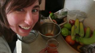 Juicing with a Vitamix  How I Strain out the Fiber [upl. by Etnelav]