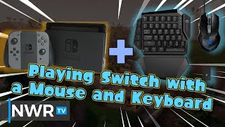 Playing Switch Games with a Mouse and Keyboard GameSir VX AimSwitch Review [upl. by Orelee]