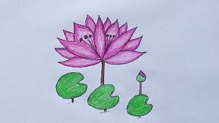 How to Draw water Lilyshapla drawing tutoriallotus flower drawingart video tutorial [upl. by Dreeda852]