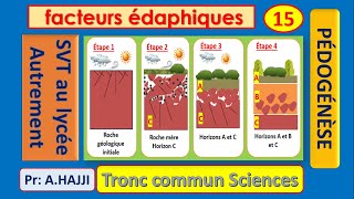 Pédogénèse étapes de la formation des horizons dun sol [upl. by Raybin]