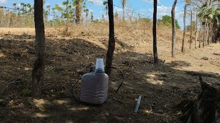 fazendo amarração da cerca de arame sertão do nosso Ceará Brasil zona rural do nosso nordeste🇧🇷🇧🇷 [upl. by Ehrlich]