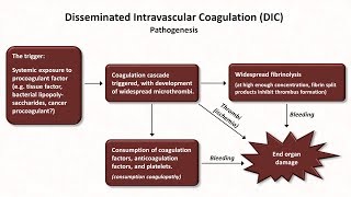 Thrombocytopenia Hemostasis  Lesson 8 [upl. by Mitman437]