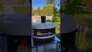 Backyard Beef Steak Mastery Sizzle Smokeand Serve😋shorts steak recipe [upl. by Gefen]