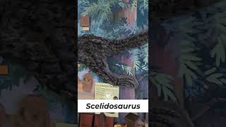 Stunning Scelidosaurus on Display [upl. by Fonsie]