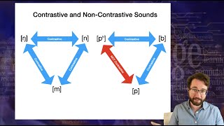 Introduction to Linguistics Phonology 1 [upl. by Ayetal]