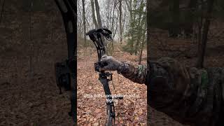 Best bow sight archery bowhunting bowhunter [upl. by Yarod467]