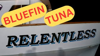 Relentless Bluefin Tuna Fishing San Diego H amp M Landing Mid November 2023 Bite Is On W Capt Mike [upl. by Denten]