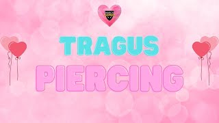 ✨ Marcs Treasures SPECIAL ✨Tragus💎┃💉Marcs Piercing TV [upl. by Ecnahc578]