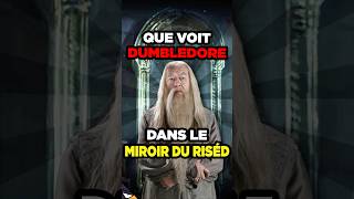 Que voit DUMBLEDORE dans le miroir du RISED [upl. by Thorin4]