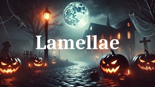 Lamellae  Instrumental  Halloween  rAIkoMP  Dark Ambient [upl. by Swithin]