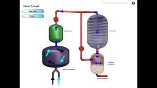 Haber Process [upl. by Jermayne]