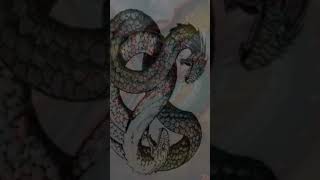 Amphisbaena Greek mythology shorts mythicalcreatures cryptids mythical [upl. by Azenav]