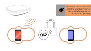 RUCKUS Client Isolation for your Wired and Wireless Networks [upl. by Cati613]