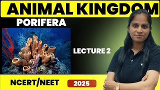 Porifera Sponges  Animal Kingdom  Lecture 2  Suman Yadav [upl. by Iveson136]