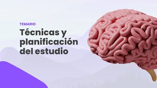 Técnicas y planificación del estudio basado en la neurociencia [upl. by Proudlove389]