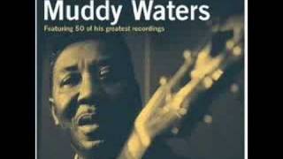 Muddy Waters  Trouble No More [upl. by Eemia]