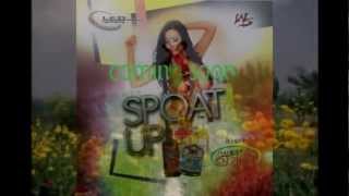 Caribbean Spice  Phoolon Ke Dere Hain  Zameer 1975 Remix [upl. by Mignon]