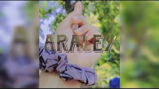 Eccentrix  Araley AudioprodBen maker Hajong Rap song [upl. by Enerual]