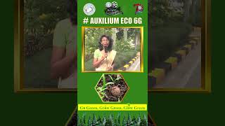 Glynis Auxilium Eco 6G [upl. by Bartram]