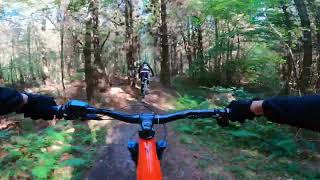 Bedgebury Forest ride with medway mountain bikes [upl. by Clifford442]