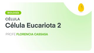 Célula eucariota 2  Biología  Célula  V3  Egg Educación [upl. by Zina]