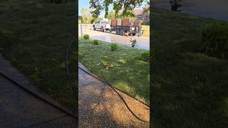 Installing Fescue Sod in a Roundabout lawn lawncare landscape sod [upl. by Aivata]