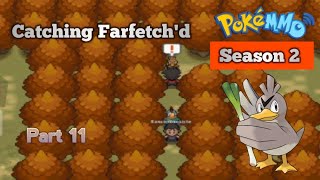 quotCatching Farfetchd in Illex forestquot PokeMMO Gameplay Season 2 Part 11 [upl. by Vanzant241]