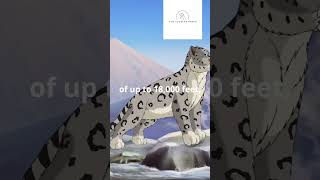 ❄️🐆 Secrets of the Snow Leopard Astonishing Facts [upl. by Candida]