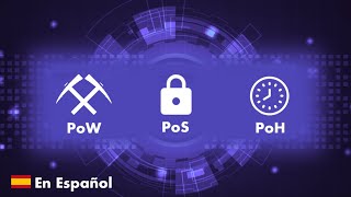 PoW vs PoS vs PoH 🔥 Proof of Work VS Proof of Staking VS Proof of History EXPLICACION EN ESPAÑOL [upl. by Venola]