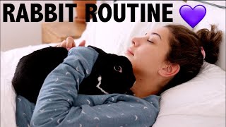 DAILY RABBIT ROUTINE  LIFE AS A PET YOUTUBER [upl. by Furgeson520]