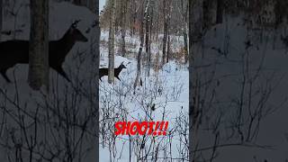 MAINE DEER HUNTER MAKES SPLIT SECOND DECISION ON CLOSE ENCOUNTER  hunting fun mountains [upl. by Allenrac890]