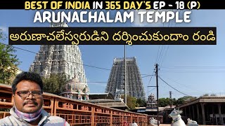 Arunachalam temple full tour in telugu  Tiruvannamalai  Arunachalam temple information  Tamilnadu [upl. by Ariay]