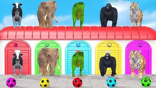 Cow Elephant Tiger Gorilla TRex 3d Animal Long Slide Game Funny 3d Paint Animals Cage Game [upl. by Aciretahs]