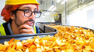 How It’s Made  Inside a French Potato Chip Factory [upl. by Aurora760]