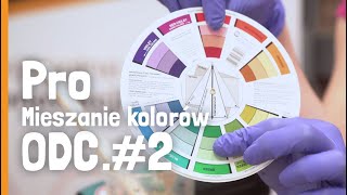 PRO 2 Mieszanie kolorów Dobieramy beżowy odcień farby  Koło kolorów [upl. by Ahterahs801]