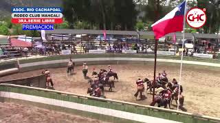 Rodeo CLUB MACHALI 3RA SERIE LIBRE ASOC RIO CACHAPOAL MEDIALUNA DE LAS CABRAS [upl. by Sherborn253]