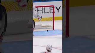 CRAZY goalie goal or hat trick 😱🚨🧢 [upl. by Nagard]